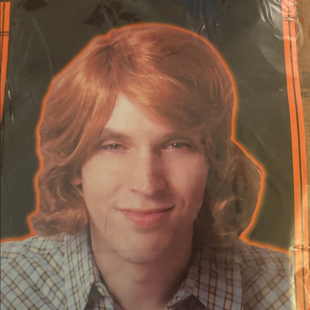 70's Dude Costume Halloween Wig